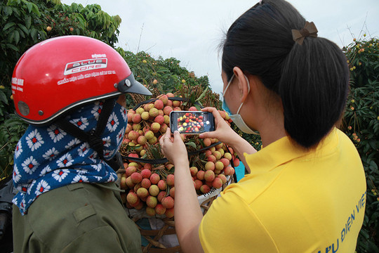 Chuyển đổi số: Cơ hội để Việt Nam bứt phá thành cường quốc về nông nghiệp