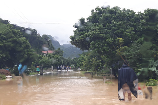 Thủ tướng yêu cầu các Bộ, ngành, địa phương chủ động triển khai công tác ứng phó với bão, mưa lũ
