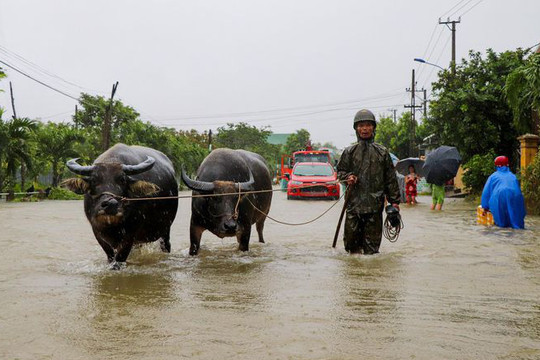 Ban Chỉ đạo quốc gia về PCTT họp ứng phó với mưa lũ miền Trung