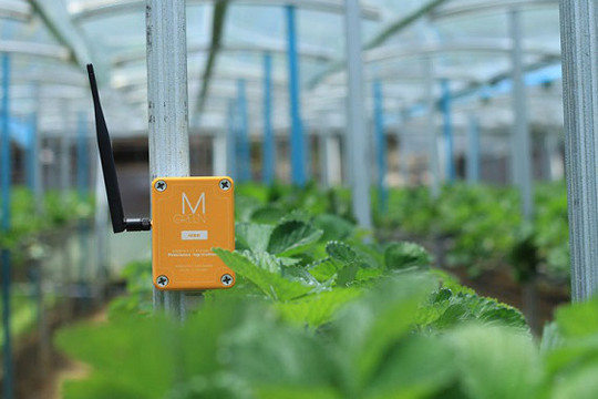 5 công nghệ được ứng dụng trong nông nghiệp thông minh