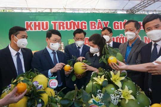 Bắc Giang muốn các sàn TMĐT hỗ trợ tiêu thụ nông sản