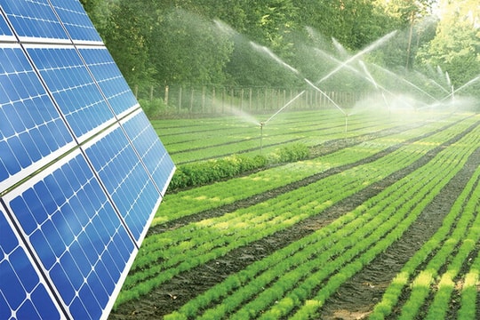 Khoa học công nghệ là “chìa khóa” để ứng phó với biến đổi khí hậu