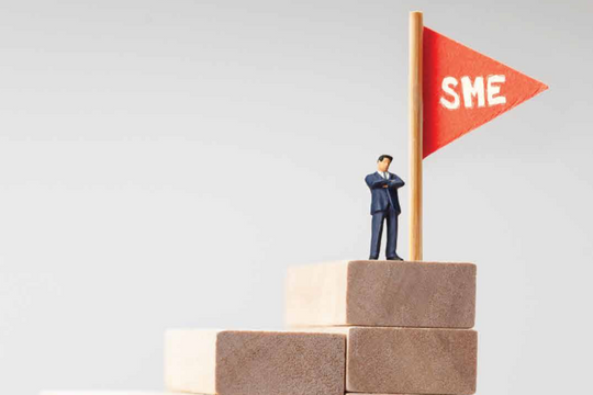 Chuyển đổi số: Khi doanh nghiệp SME năng động hơn các tập đoàn lớn