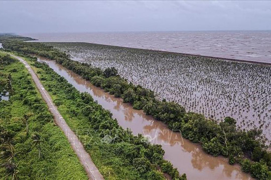 Chuyển đổi hình thức sản xuất thích ứng với khí hậu ở đồng bằng Sông Cửu Long