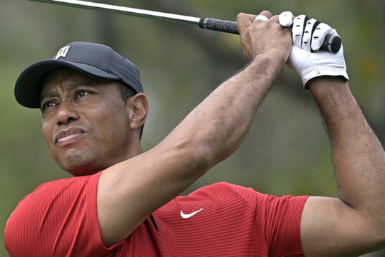 Chuyên gia dự đoán Tiger Woods sẽ giã từ sự nghiệp tại The Open năm nay