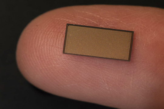 Trong tương lai chip máy tính có thể được chế tạo từ mật ong 