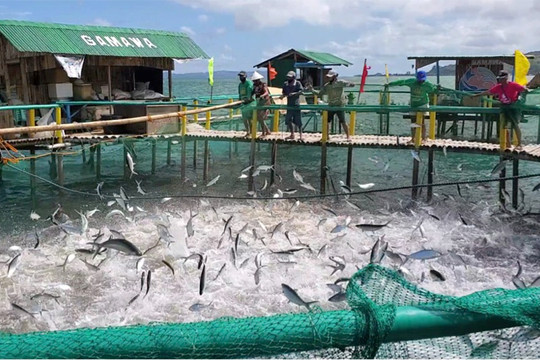 Philippines ứng dụng ICT để kiểm tra, giám sát hoạt động đánh bắt cá