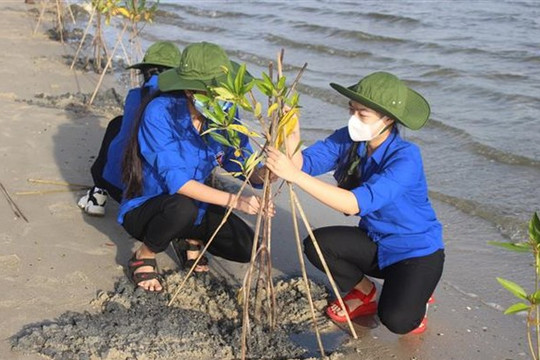 Việt Nam chủ động, chung tay cùng thế giới ứng phó với biến đổi khí hậu
