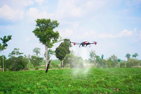Campuchia ứng dụng công nghệ drone trong sản xuất sắn