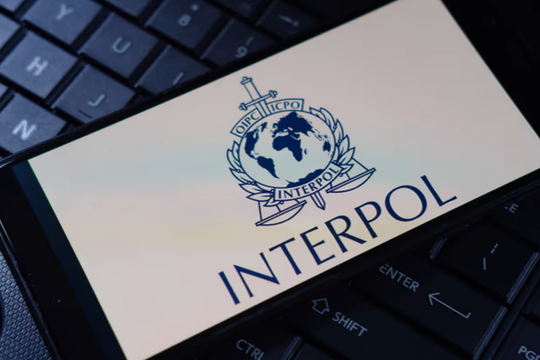 Interpol bắt giữ hàng nghìn tội phạm mạng