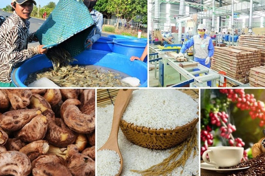 Tiếp tục tăng cường trao đổi thương mại nông sản giữa Việt Nam và EU trong tương lai