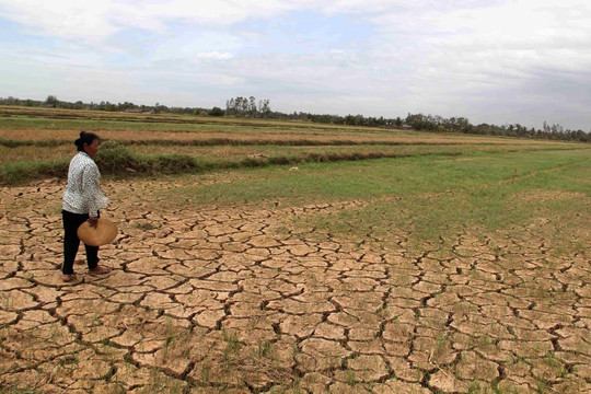 Nông nghiệp Việt Nam trước thách thức biến đổi khí hậu 