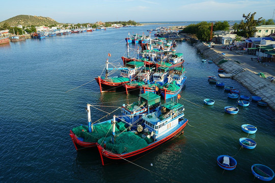 Phát triển kinh tế biển đảo gắn với bảo vệ chủ quyền biển đảo Tổ quốc trong giai đoạn hiện nay 
(Nghiên cứu trường hợp Ninh Thuận)