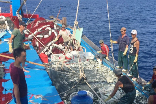 Hỗ trợ ngư dân bám biển: Vững kinh tế, giữ chủ quyền