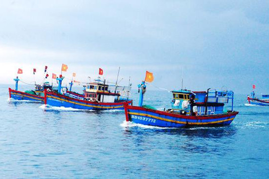 Báo Thái Lan đánh giá cao Việt Nam trong nỗ lực loại bỏ đánh bắt cá bất hợp pháp