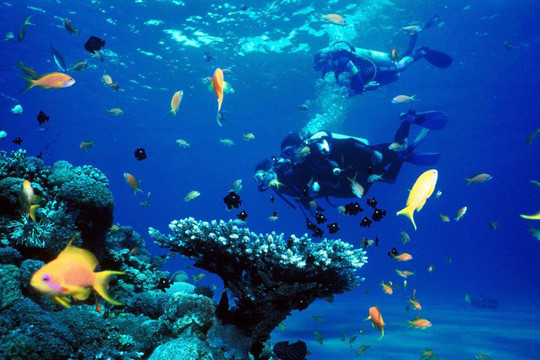 Bảo vệ nguồn tài nguyên thiên nhiên và môi trường biển