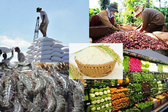 Nhiều hướng đi mới cho xuất khẩu nông sản Việt Nam