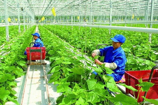 Thúc đẩy quá trình tăng trưởng xanh cho nông nghiệp Việt Nam