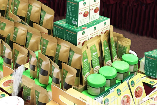 62 sản phẩm của 31 chủ thể được UBND tỉnh Bắc Ninh phê duyệt tham gia Chương trình OCOP