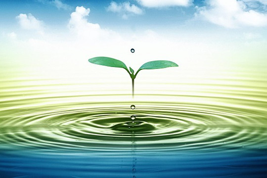 Bảo vệ nguồn tài nguyên nước bền vững