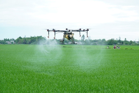 Năm 2025, đưa giá trị sản phẩm nông nghiệp ứng dụng công nghệ cao đạt trên 20%