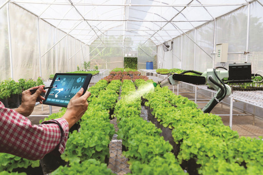Ứng dụng công nghệ số, hướng tới nông thôn mới thông minh giai đoạn 2021 - 2025