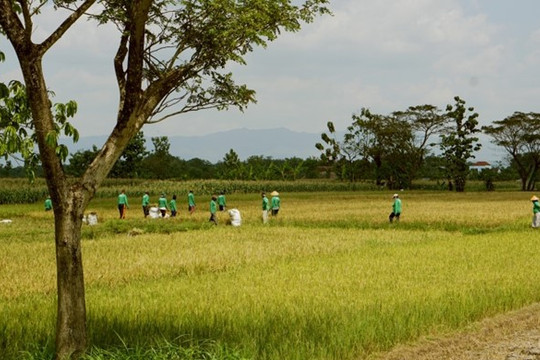 Startup công nghệ Eratani hỗ trợ 50.000 nông dân Indonesia vào 2024