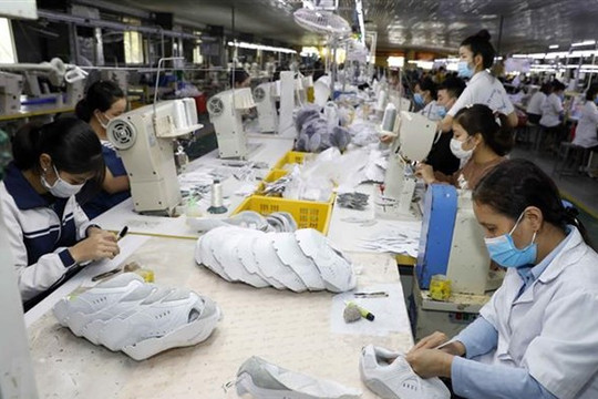 EU tăng cường hợp tác trong sản xuất da dày cho Việt Nam