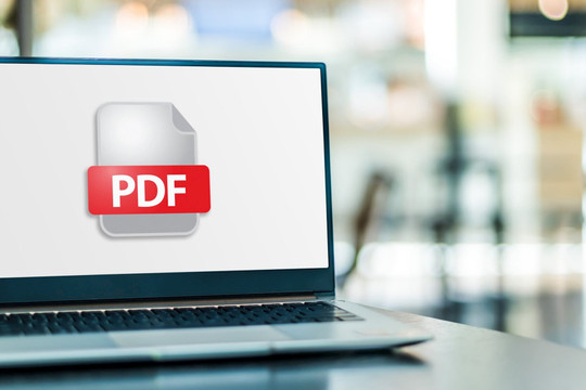 Phần mềm độc hại trong tệp PDF - rủi ro lớn tiếp của doanh nghiệp