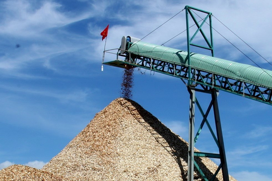 Việt Nam đứng top đầu thế giới về xuất khẩu viên nén gỗ