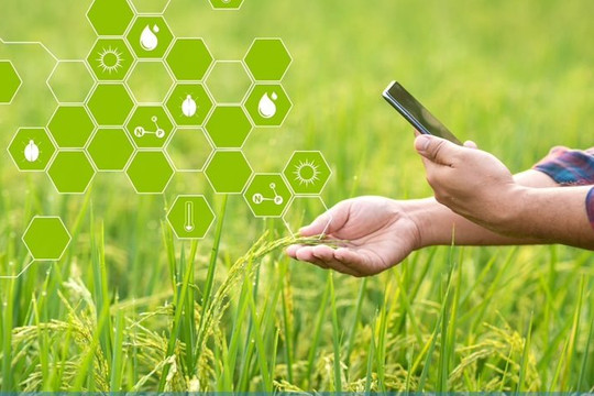 Tăng cường ứng dụng công nghệ thông minh trong nông nghiệp