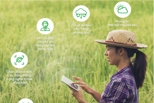 Nền tảng số Việt Nam đạt giải thưởng ASEAN nhờ đóng góp CĐS nông nghiệp