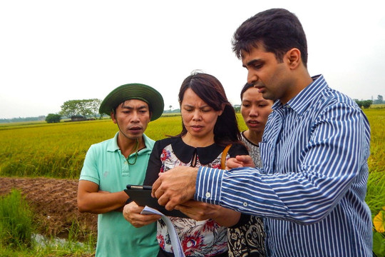 AI giúp chuyển đổi nông nghiệp để đảm bảo an ninh lương thực bền vững