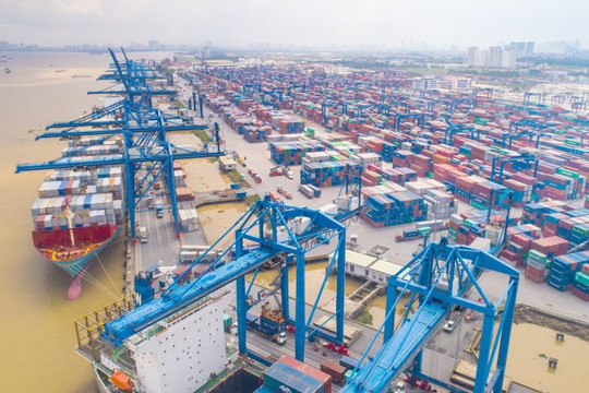 Tổng công ty Tân Cảng Sài Gòn triển khai phần mềm quản lý dịch vụ container rỗng