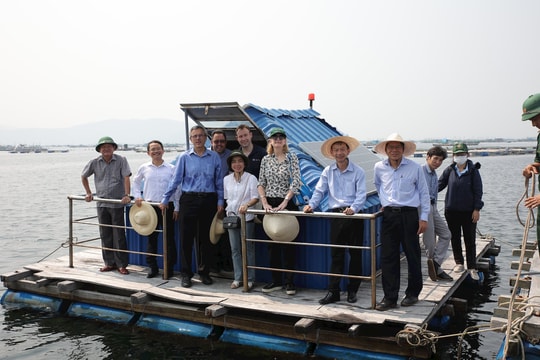 Ba dự án ứng dụng AI giúp nông nghiệp bền vững tại Việt Nam