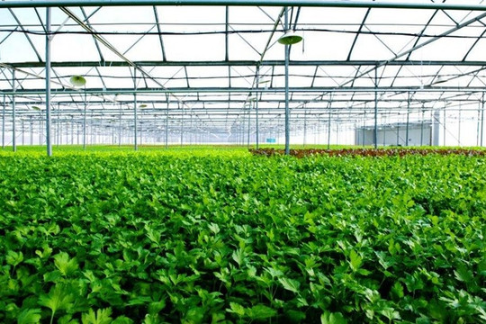Khoa học và công nghệ phục vụ mục tiêu đạt mức phát thải ròng bằng 0 tại Việt Nam
