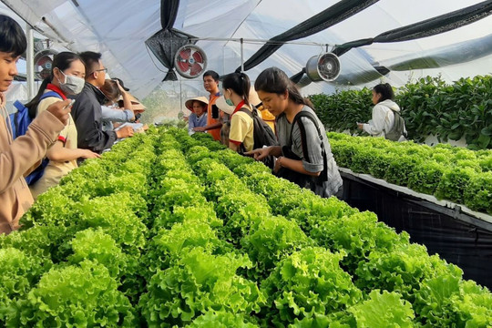 Hoạt động ứng dụng, chuyển giao công nghệ và đổi mới sáng tạo của các đơn vị sự nghiệp thuộc Sở Khoa học và Công nghệ