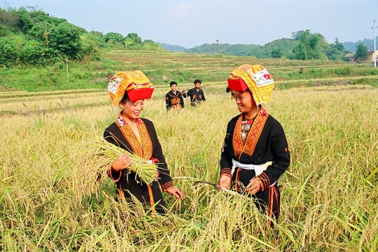 Giải pháp phát huy chính sách truyền thông về đa văn hóa hiện nay ở nước ta