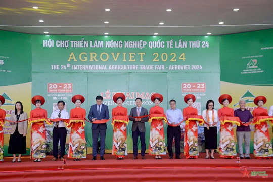 Kết nối chuỗi giá trị, phát triển nông nghiệp xanh, kinh tế tuần hoàn