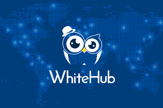 WhiteHub - Nền tảng phát hiện và quản lý lỗ hổng đầu tiên tại Việt Nam