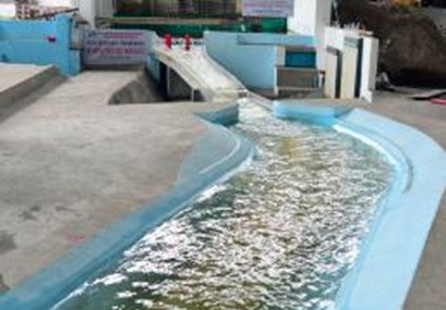 Luật Khoa học và Công nghệ năm 2013: Thúc đẩy phát triển tiềm lực khoa học và công nghệ