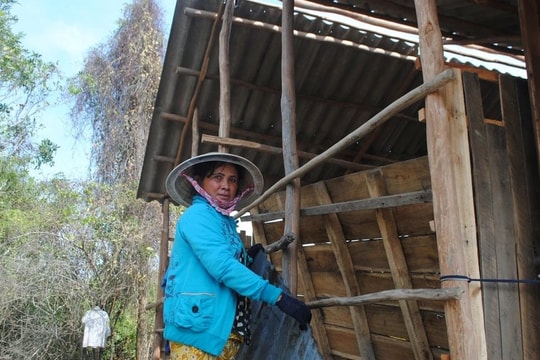 Cà Mau ra công văn yêu cầu đẩy nhanh xóa nhà tạm, nhà dột nát