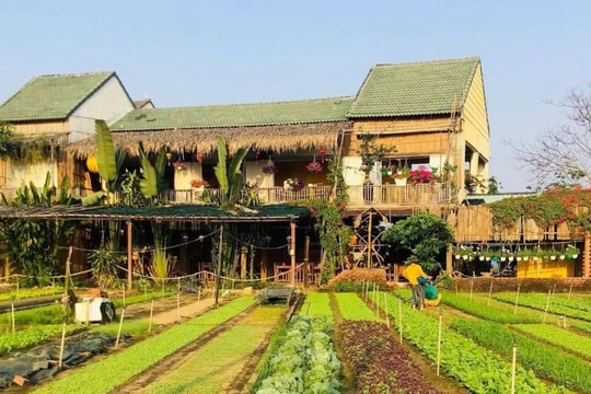 Chính sách phát triển du lịch nông thôn được chính phủ đặc biệt quan tâm