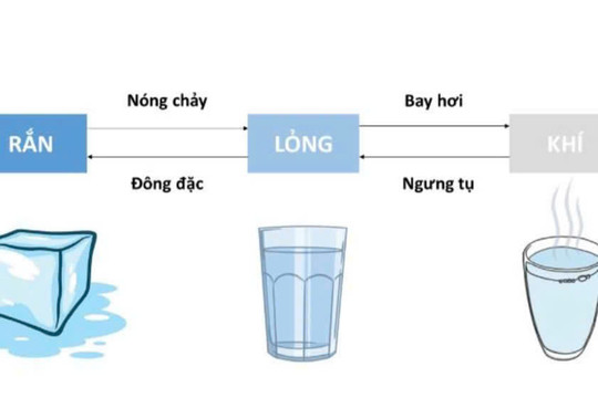 Xây dựng một số hoạt động dạy học nhằm rèn luyện vốn từ vựng khoa học cho học sinh tiểu học