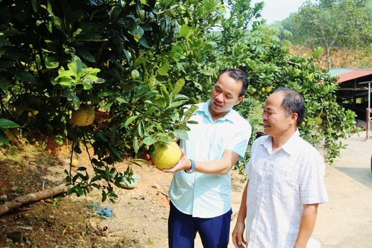 Những người “nói cho dân hiểu, làm cho dân tin” ở Phú Thọ