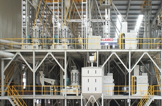 Long An: Ứng dụng công nghệ thông khí và bảo quản lạnh cho modul bảo quản lúa chất lượng cao