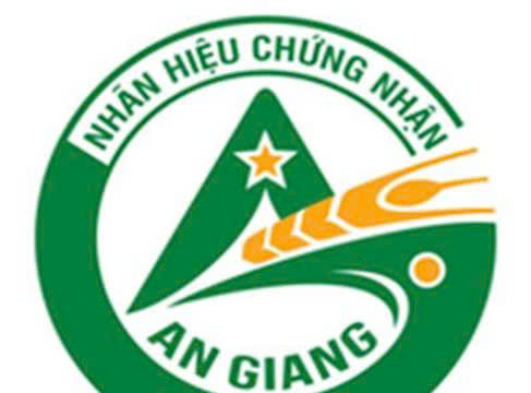 Cục Sở hữu trí tuệ triển khai nhiều biện pháp để thúc đẩy xử lý đơn sở hữu công nghiệp