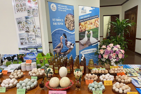 Viện Chăn nuôi được công nhận  01 giống gà mới (gà PHD) và 06 Tiến bộ kỹ thuật trong năm 2024