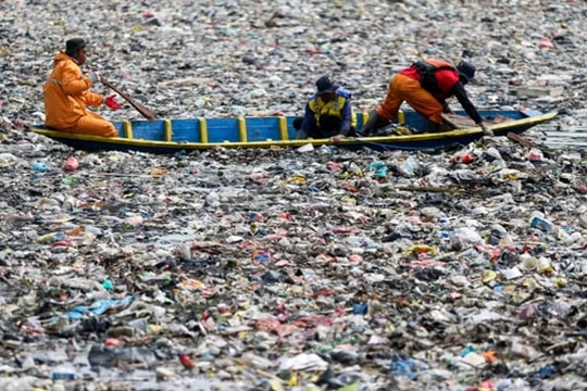 Nghiên cứu về vi nhựa trong não người: Mối nguy và những nghi vấn khoa học