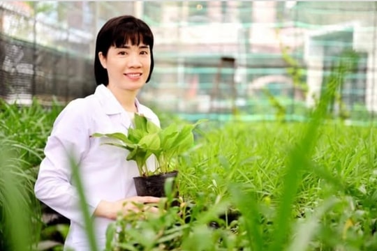 PGS.TS. Nguyễn Thị Ái Nhung: Đưa dược liệu Việt Nam ra thế giới thông qua công bố khoa học